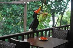 Activites En Kuala Lumpur De 8 Comparateur D Activite Hotelvoy