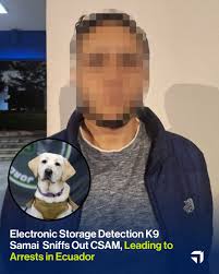 A powerful reminder: behind every rescue, there are officers who refuse to  look away. Operation Spring Cleaning, led by the Los Angeles Regional  Internet Crimes Against Children (ICAC) Task Force, mobilized more