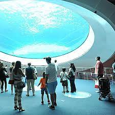 Here Are The Best Things To Do In Miami When It Rains No Umbrella Required Miami Beach Activities Miami Vacation Florida Activities