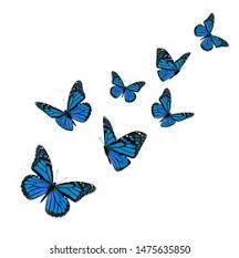 Butterflies and moths have been recognised by the. Beautiful Blue Monarch Butterfly Isolated On Stock Photo Edit Now 1475635850