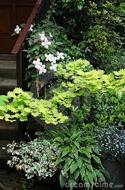 Group Plants In The Shadow Garden Place Plants Organic Gardening Garden Design