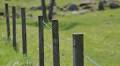 Vä Correctional Facility Gets Rapid Approval in Just Two Days