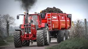 Buy the whole set of videos. Ih 1455xl Chevance Transport De Fumier Manure Youtube