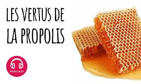 Quelles Sont Les Vertus De La Propolis Propolis Miel Bienfaits Sorte De Pates