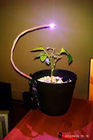 Maybe you would like to learn more about one of these? Battery Powered Led Grow Light 7 Steps Instructables