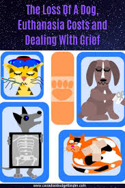 There are many options to euthanasia can be performed at a local shelter or in the veterinarian's office, costing anywhere from $25 to $150. The Loss Of A Dog Euthanasia Costs And Dealing With Grief Canadian Budget Binder