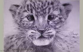 Maybe you would like to learn more about one of these? Anca Suiugan Animale Desenate OferÄƒ Cadou Un Portret Desenat Alege Un Portret In Creion Pentru Cei Dragi