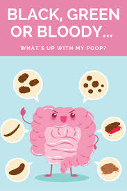 Image result for dark black stool human poop