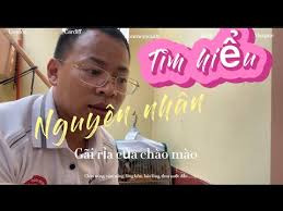 CHÀO MÀO GÃI RỈA,TÌM HIỂU NGUYÊN NHÂN VÀ CÁCH KHẮC PHỤC