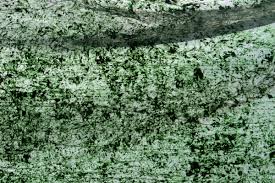 Guilhem Boudes Passionnement Spirulinier Oui Le Magazine De La Ruche Qui Dit Oui