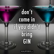 Don T Come In If You Didn T Bring Gin Kaufdex Lustige Zitate Witzige Spruche Zitate