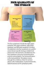 9 Tips For Performing A Nursing Health Assessment On The Gastrointestinal System Gastrointestinal System Nursing School Tips Health Tips