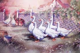 Penny Parkers Ducks Desktop Nexus Wallpapers Penny Parker Art Animal Illustration