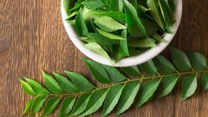 Neem: Contraindicaciones, Beneficios y Usos - Unisima.com