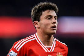 Mantan Wonderkid Portugal Siap Ditumbalkan PSG Demi Joao Neves