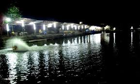 Jika sampai saat ini anda masih belum bisa membuat ramuan umpan memancing ikan mas yang sederhana akan tetapi berkualitas, kami disini hadir. 6 Umpan Ikan Mas Galatama Malam Hari Selalu Strike