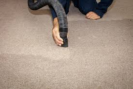 Get Rid Of That Wet Carpet Smell Carpet To Go