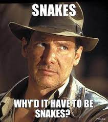 There's just one thing he's afraid of: Matchmaker Snake Indiana Jones Matchmaker Logistics