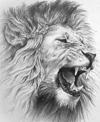 Roaring Lion Drawing Jpg 553 670 Mens Lion Tattoo Lion Sketch Lion Tattoo