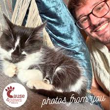 Aw, gee. My siblings Rutabaga and Zucchini got adopted! But who will love  me, little Patate? Doesn't anybody want this cute root vegetable? Oh là là  ! Mes frères et sœurs