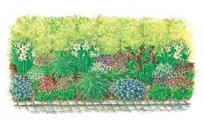 Zum Nachpflanzen Fruhlingsbeet Vor Buchenhecke Buchenhecke Hecke Garten