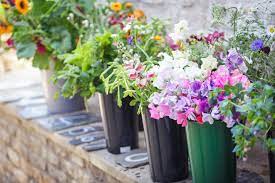 Mar 01, 2006 · these materials help me create bouquets of various sizes and shapes. Why British Flowers Flowers From The Farm