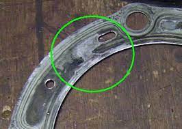 Is This A Sign Of Something Bad Cafe Husky