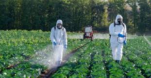 Procès à Marseille sur un trafic de pesticides interdits