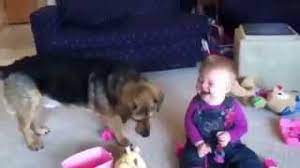 Kid Laughs Hysterically At Dog Popping Bubbles Youtube