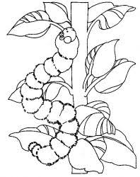 Desene de colorat cu primavara e pe placul furnicilor si a buburuzelor planse de colorat prim spring coloring sheets bug coloring pages insect coloring pages. Planse De Colorat Cu Primavara Desene De Colorat Cu Primavara Primavara De Color Caterpillar Coloring Page Free Kids Coloring Pages Coloring Pages For Kids