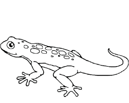 Gecko Coloring Pages Best Coloring Pages For Kids Dragon Coloring Page Animal Coloring Pages Illustration Example