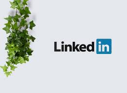Managing partner, it recruiting company bio. 20 Superb Linkedin Summary Examples Writing Guide Cv Nation