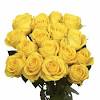 See more ideas about yellow wildflowers, wild flowers, orchids. 1