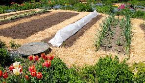 How do you till a garden. How To Stop Tilling Your Garden Today Hobby Farms