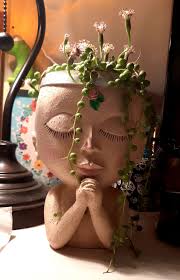 My string of tears is blooming! The flowers smell delightful. 😁🪴