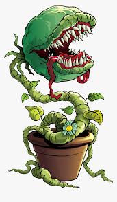 Venus Fly Trap Plant Monster Png Clip Art Image Monster Venus Fly Trap Drawing Transparent Png Kindpng She gets two juicy grasshopper legs a month and only the finest collected rain water. venus fly trap plant monster png clip