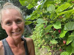 🔥Who loves the heat? 🙌🏻… Diana and the Raspberries! Both are  low-maintenance and both are producing a lot of raspberry products right  now! 🤣 Diana says: “I like Killarney for fresh eating,