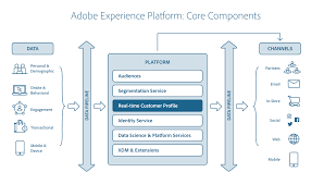 Which process of the enterprise platform interacts with vendors and manages the entire supply chain for a retail client?. Real Time Customer Profile Overview Adobe Experience Platform