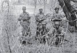 Dayton daily news, washington daily news (dc), colorado springs sun. Secret British Weapon That Took On Mugabe S First Soldiers Daily Mail Online
