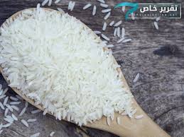 لقد تعرضت لمؤامرة لاسقاطي من اول موسم وشلت _ و الطائي مصروفه الاسبوعي تقريبا ثلاثون الف ريال _ و الوغد الصغير يطالب الاداره بمبالغ احتراف _ و الجيل الذهبي للطائي كان يتعشى رز بخاري بخمسين ريال. Ø§Ù„Ø¹Ø±Ø§Ù‚ Ø±Ø² Ø§Ù„Ø¹Ù†Ø¨Ø± ØµÙ†Ù Ø²Ø±Ø§Ø¹ÙŠ Ù†Ø§Ø¯Ø± Ù…Ù‡Ø¯Ø¯ Ø¨Ø§Ù„Ø§Ù†Ø¯Ø«Ø§Ø± Ø§Ù„Ø®Ù„ÙŠØ¬ Ø£ÙˆÙ†Ù„Ø§ÙŠÙ†