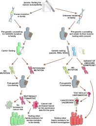 If the red glow is missing in only one eye or if the. Familial Inherited Cancer Syndrome A Focus On The Highly Consanguineous Arab Population Npj Genomic Medicine