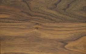 Bug Borne Tree Disease Affecting Black Walnut Is Spreading From West Coast To East Coast Of America With Images Black Walnuts American Black Walnut East Coast
