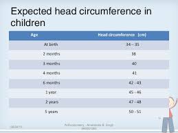 anthropometry