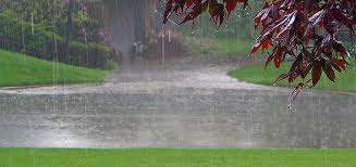 Augustine lawns in texas and other parts of the south for a number of years is now showing up in hybrid bermuda lawns. How To Fix A Landscape Drainage Problem On Your Property Lowes Landscaping