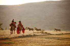 Lewa wildlife conservancy‚ also known as lewa downs‚ lies in laikipia in the foothills of mt kenya and has savannah plains‚ rolling hills and. Samburu Camel Trekking Best Kenya Safari Experiences Art Of Safari