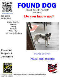 Lost & found pets of south carolina has been uploading photos of missing pets, some of which come at the request of worried owners. Lost Dogs Ohio Do You Know This Dog Beachcity Dolphin Facebook