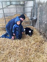 In pictures: our favourite readers' photos