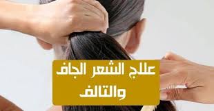 الشعر الجاف والتالف يمثل مشكلة كبيرة للكثير من السيدات تجعد الشعر وتشابكه وتقصف الاطراف وهشاشة الشعر كل هذه الامور قد تكون وراثية ومع ذلك فهي قد تكون أيضا نتي