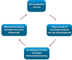 Sexuele voorlichting (1991 belgium) votvideo.ru. Sexuele Voorlichting 1991