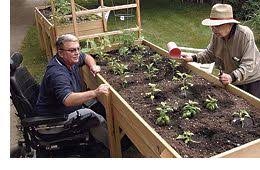 Accessible Gardens School Garden Horticulture Therapy Raised Vegetable Gardens
